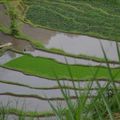 de Amed à Ubud..