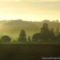 Carpe diem d'automne à l'infinitif