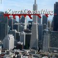 eXpert Consulting, Thriller...