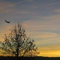 Ciel c'est lundi, ....visualisons la semaine écoulée ....