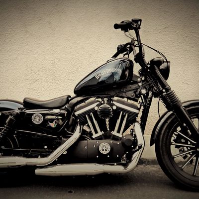 Mon Harley Sportster Iron