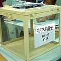 les élections communales à Ifrane