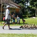 Un groupe qui marche aux pas