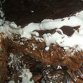 TARTE SABLEE AU CHOCOLAT, SALIDOU ET MERINGUE SUISSE