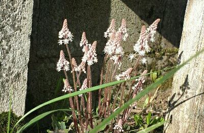 PÂQUES À LA BOURDAISIÈRE