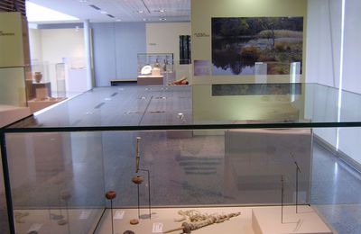 Bliesbruck : visite du chantier de fouilles et de l'exposition