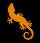 Des Zoreils au soleil