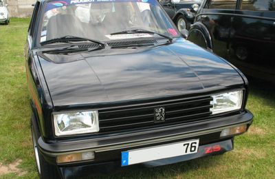 Peugeot 104 ZS (1975-1985)