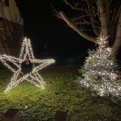 Étoile de noël !