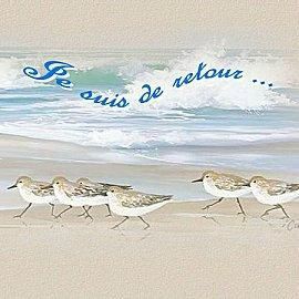 LE RETOUR DE MON BLOG PERSO