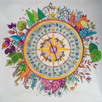 Coloriage 2 - Forêt Enchantée -  Boussole