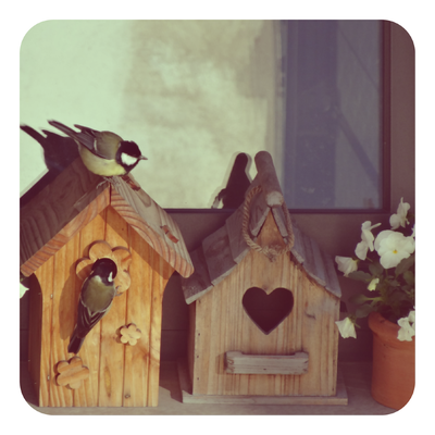 Cette semaine, j'ai aimé..