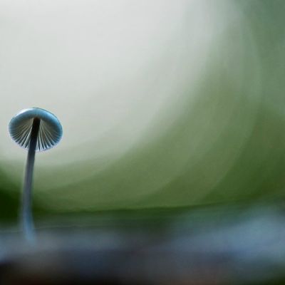 Theme minimaliste !!!