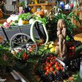 Fleurs, fruits et légumes en voyage à Orléans...