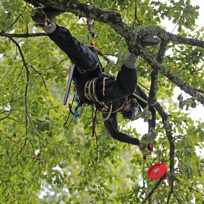 RRA SUD-OUEST, MIRAMONT DE GUYENNE, 47800. Journée du dimanche 28 septembre 2025.