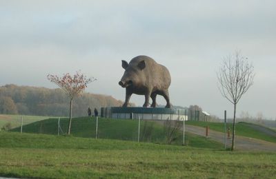 WOINIC - LE SANGLIER DES ARDENNES