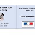 Permis de détention d'un chien 