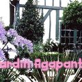 Jardin  Agapanthe