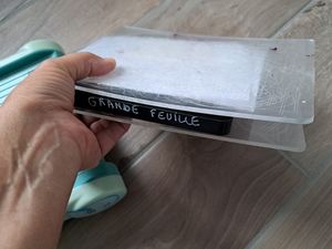 Pastels secs FEUILLES d'AUTOMNE