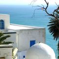 Voir toutes mes photos TUNISIE