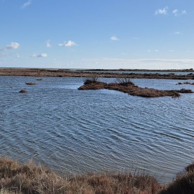 L'étang de Pissevache