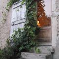 La vigne autour de la maison...