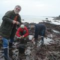 A la pêche .... à Belle Ile !!!!