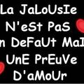 Jalousie ?