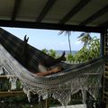 Le bungalow sur un lagon de Guadeloupe