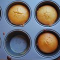 Muffins au melon et miel