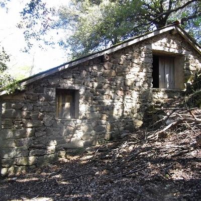 Et au milieu coule une rivière