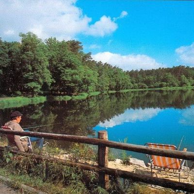 l'écologie bureaucratique dans sa folie risque de causer plus de mal que de bien