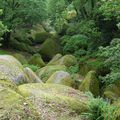 LE CHAOS ROCHEUX DE LA FORÊT DE HUELGOAT