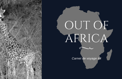 [Carnet de voyage] Out Of Africa - Safaris Photos