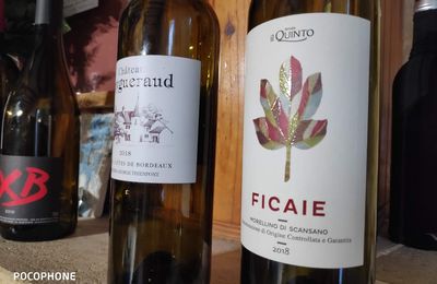Francs-Cotes de Bordeaux : Puygueraud blanc 2018, DOCG : Morellino Di Scansano : Tenuta il Quinto Ficaie 2018