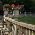 fin d'après-midi au jardin du Luxembourg