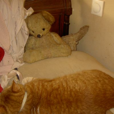 Concert du nouvel an, Cannes Latino