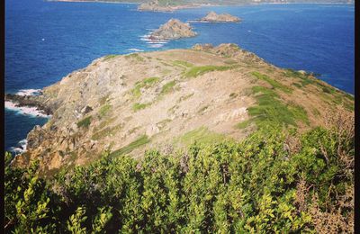 Corse : croisière sur les îles sanguinaires 