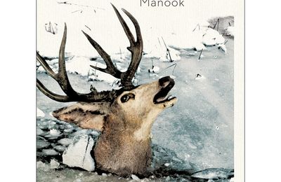 Débâcle, roman de Ian Manook