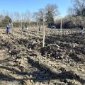 UN BEAU VERGER FRUITIER POUR LES JARDINS PARTAGES