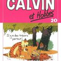 "Calvin et Hobbes : Il y a des trésors partout !" de Bill Watterson