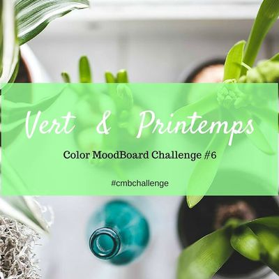 Un thème, une couleur : Color MoodBoard Challenge