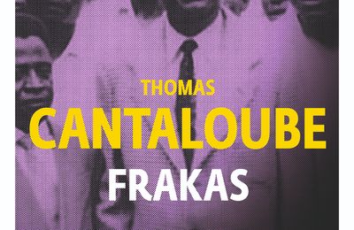 Roman Noir : Thomas Canteloube continue son exploration de la politique française avec Perte et "Frakas "