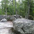 Forêt de Fontainebleau