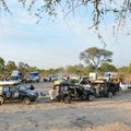 JOUR 46 : LES ELEPHANTS DU PARC CHOBE