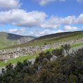 WICKLOW MOUTAINS NATIONAL PARK