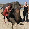 Ouah ! Elodie, Stéphanie et L'éléphant - une légende, maintenant …