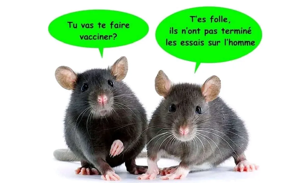 Se faire vacciner