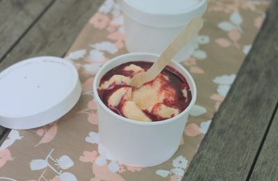 Yaourt glacé au melon ou l'art de préparer un dessert glacé en quelques minutes sans sorbetière