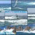 RIDER " SOLOFOU " DENICHE LE SWELL ! ...